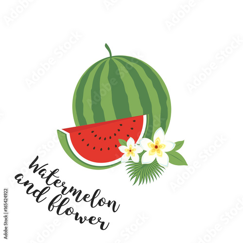 Whole watermelon with slice and leaves. illustration. Fruit set. Icons tropical fruits with leaves and flowers. Set of trendy illustrations isolated on white.
