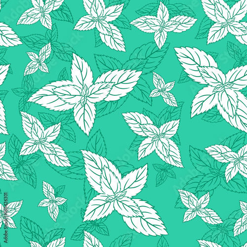 Mint leaf peppermint isolated on green background, Hand drawn vector seamless floral pattern, spicy herb kitchen texture line art, Doodle cooking ingredient for design package tea, wallpaper, cosmetic © m_e_l