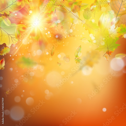 Autumn abstract background. EPS 10 vector