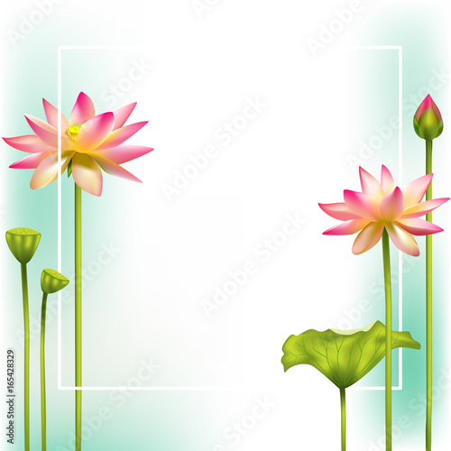 pink Lotus. Square flower frame. SPA-center. Buddhism. Asia. Indian philosophy.Banner. Floral background.