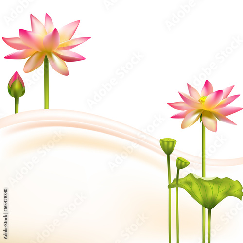 pink Lotus. Flower frame. SPA-center. Buddhism. Asia. Indian philosophy.Banner. Floral background. border.