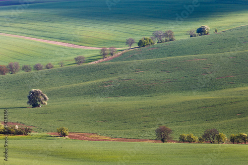 Fotografi South Moravian fields, Czech Republic fields, moravia hills, czech landscape, mo