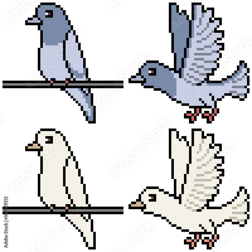 vector pixel art set dove