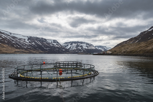 Dramatic clouds over Sudureyri fish farm in Sugandafjordur Westfjords Iceland photo