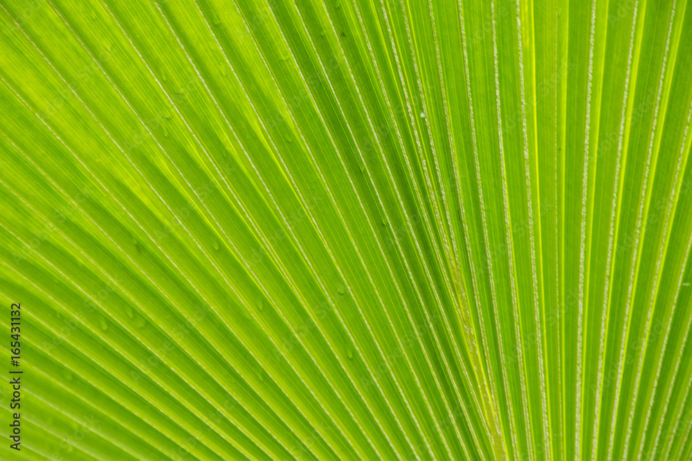 hawaii scenes hawaii scenes