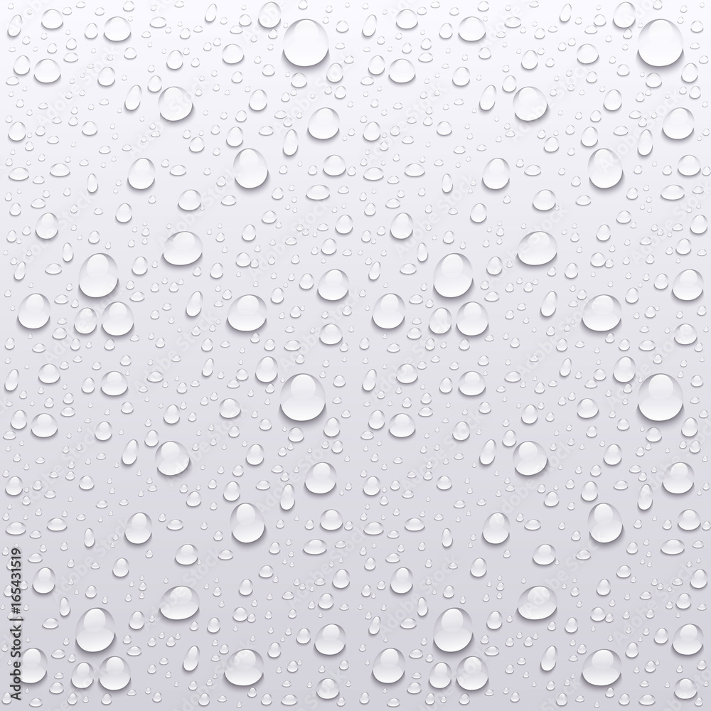 vector Water drops on glass. rain drops on clear window vector Water drops on glass. rain drops on clear window