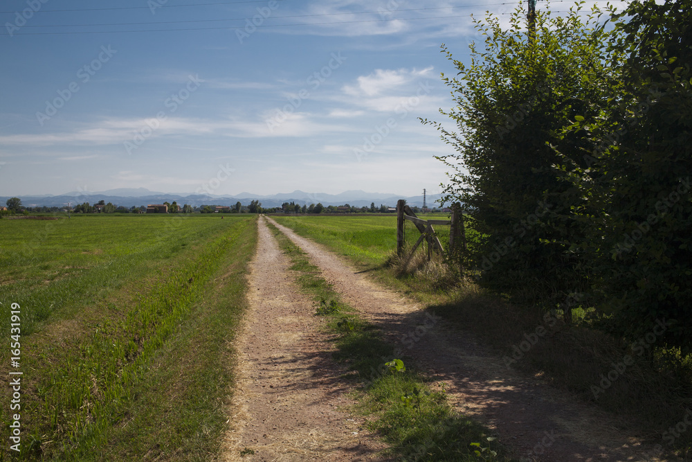 Landscape in Padana Plain. Nobody inside