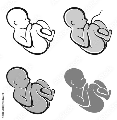 Baby in the womb