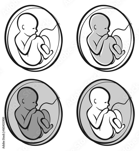 Baby in the womb