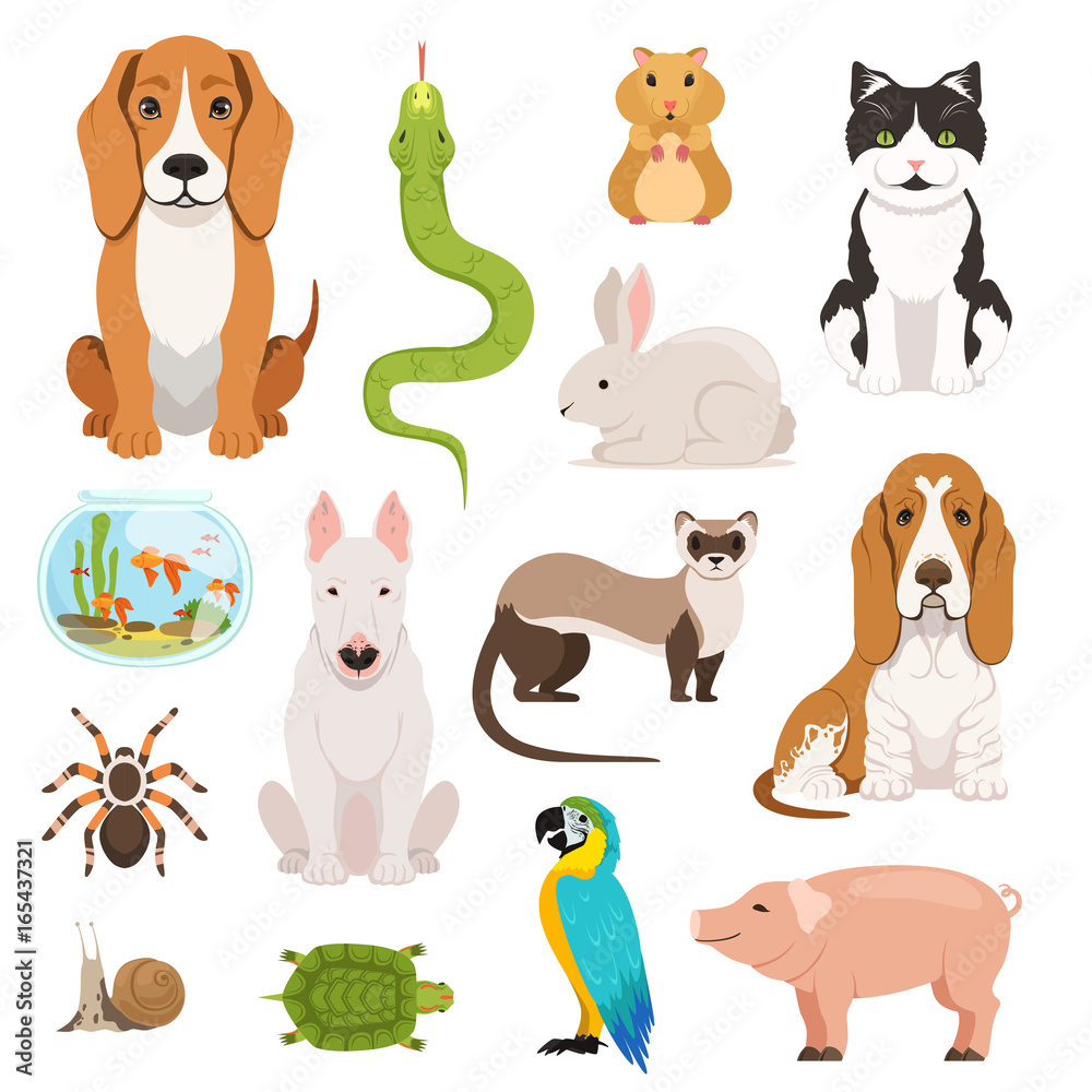Big vector set of different domestic animals. Cats, dogs, hamster and other pets in cartoon style Big vector set of different domestic animals. Cats, dogs, hamster and other pets in cartoon style