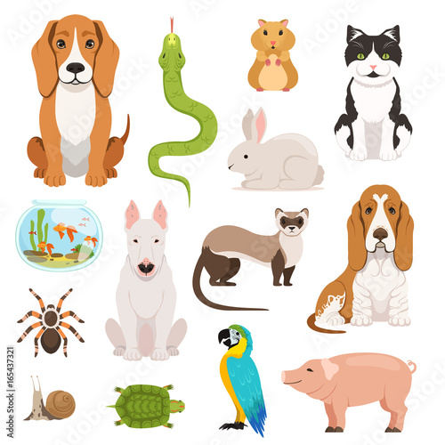 Big vector set of different domestic animals. Cats, dogs, hamster and other pets in cartoon style
