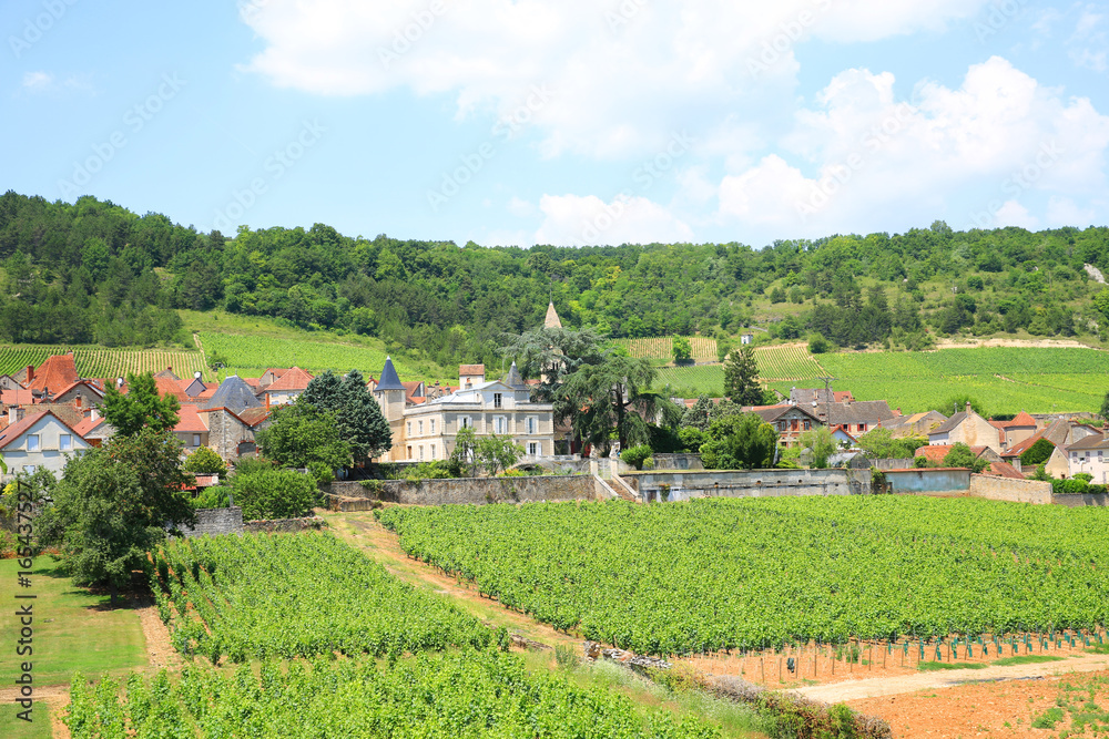 Vineyards around Saint-Aubin in Burgundy, Touristique Route des Grand Crus, France