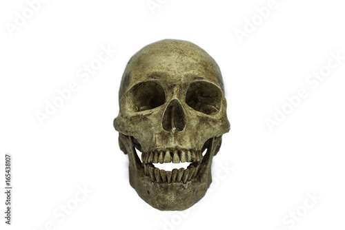 Human skull, isolated on white background with.