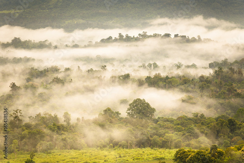 Fototapeta Naklejka Na Ścianę i Meble -  Landscape misty,Fantastic dreamy sunrise on the mountains, Mountain with mist cloud at Khao Kho Phetchabun Thailand
