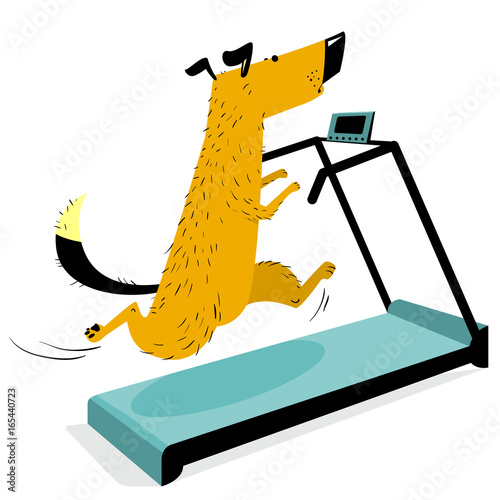 Fast running dog on treadmill. Cute racing pet. Cartoon training dog in the gym.