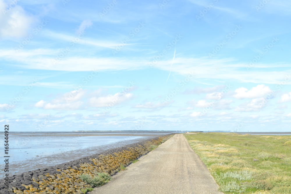 Fototapeta premium een asfaltweg op een dijk in de Waddenzee met zicht op Schiermonnikoog