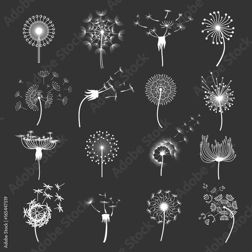 Fototapeta Naklejka Na Ścianę i Meble -  Dandelion flower set