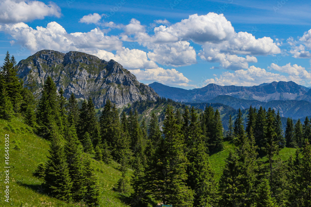 Scenes of Alpine vistas and meadows 