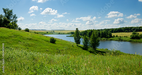 Sunny summer landscape with river