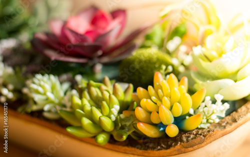 The close up of artificial flower garden with sunlight and flower