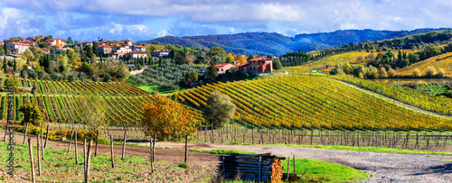 Scenic countryside with vineyards in autumn colors. Tuscany, Italy photo