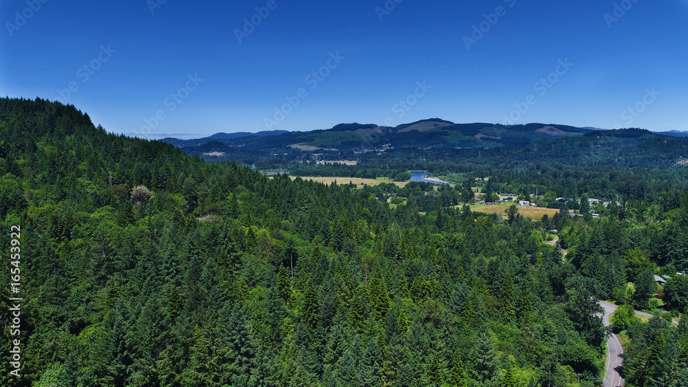Aerial view of the Oregon countryside, McKenzie River in the distance