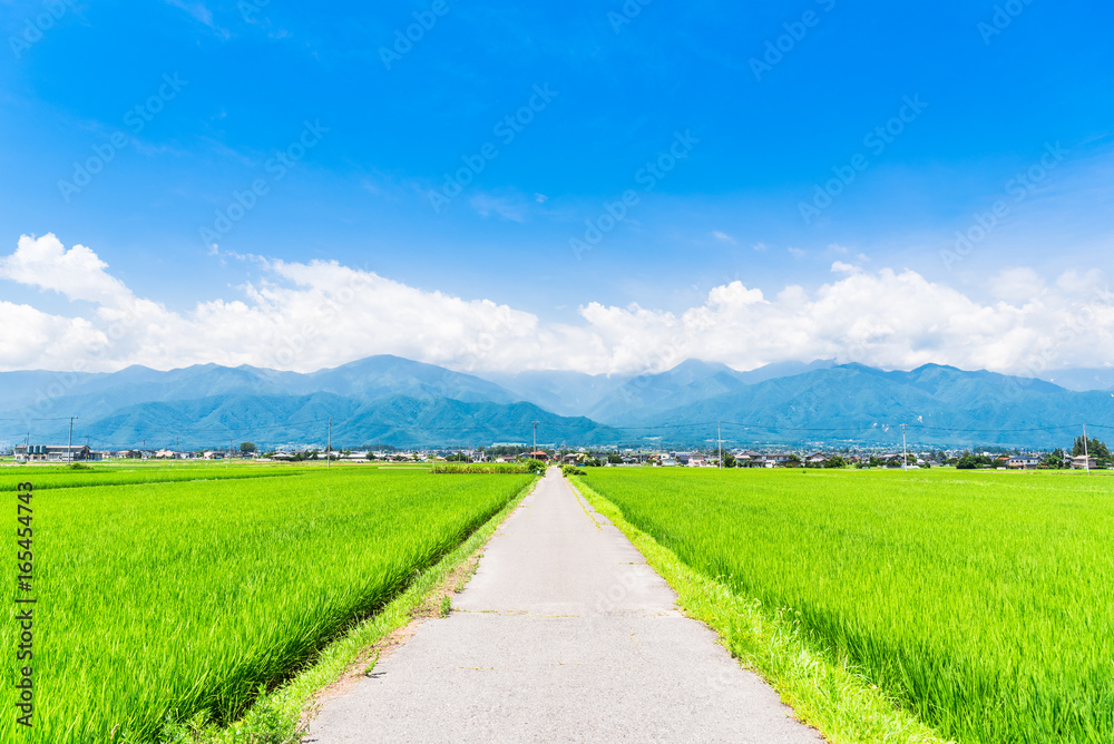 夏の信州 安曇野の田園風景