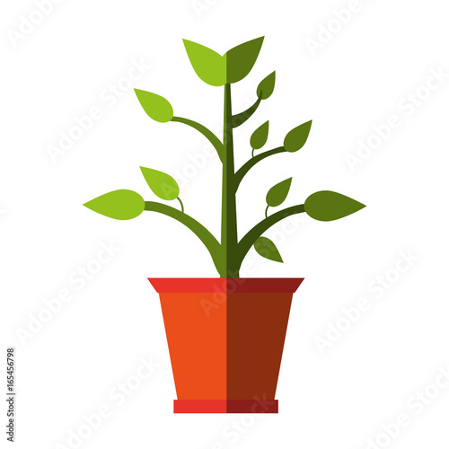 plant in pot icon image