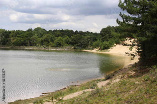 National park Kennemerland dunes