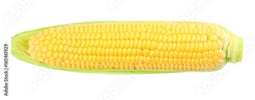 Fresh corn on cob isolated on white background