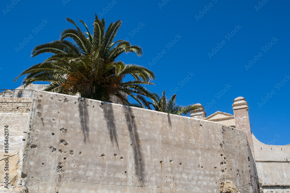 Marocco: le palme e le antiche mura della medina di Tangeri, la città sulla costa del Maghreb all'ingresso occidentale dello stretto di Gibilterra, dove il Mar Mediterraneo incontra l'Oceano Atlantico