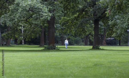Canvas Print tiergarten park berlin germany