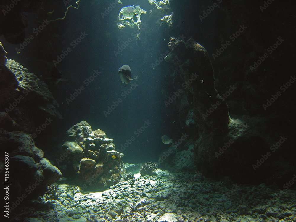Fototapeta premium Ambiance13copy