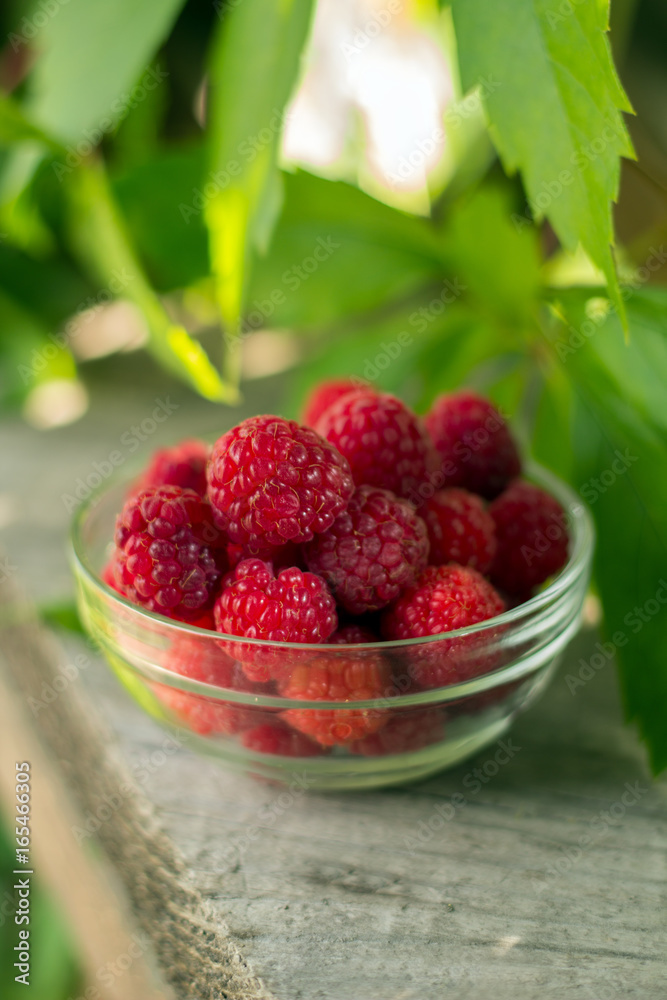 soft focus on freshly harvested raspberries in a glass bowl soft focus on freshly harvested raspberries in a glass bowl