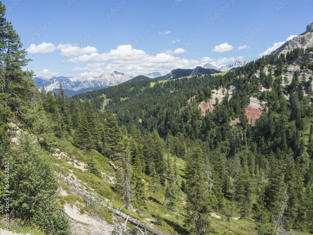 Fototapeta premium Views of the mountains and the meadows of the Dolomites. The place is around the Pass of Herbs