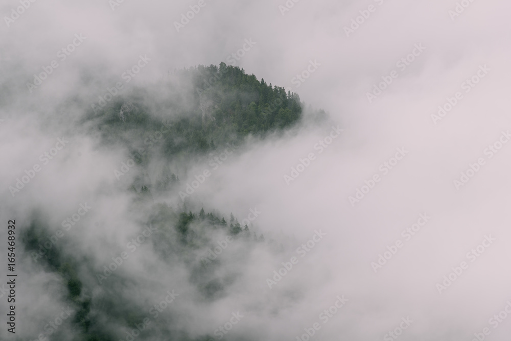 Nebelschwaden in den Wäldern der Voralpen am Walchensee, Deutschland Nebelschwaden in den Wäldern der Voralpen am Walchensee, Deutschland