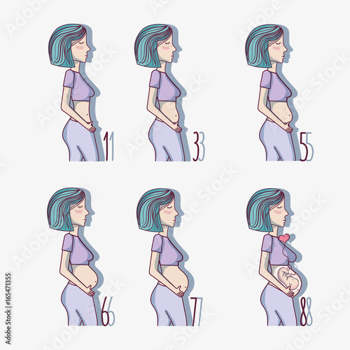 set pregnancy cycle process of the week