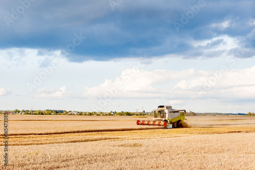 Harvester is woking during harvest time in the farmers fields  agriculture concept