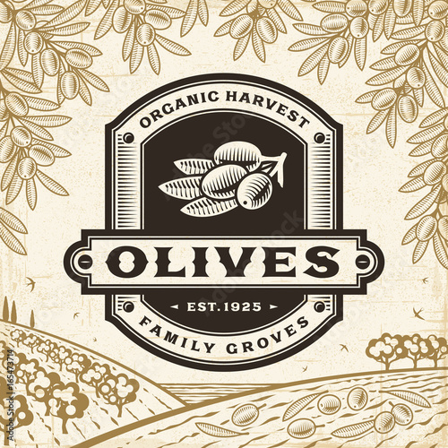 Retro olives label on harvest landscape. Editable EPS10 vector illustration in woodcut style with clipping mask and transparency.