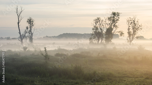 Wallpaper Mural Bourgoyen-Ossenmeersen, Ghent, Belgium Torontodigital.ca