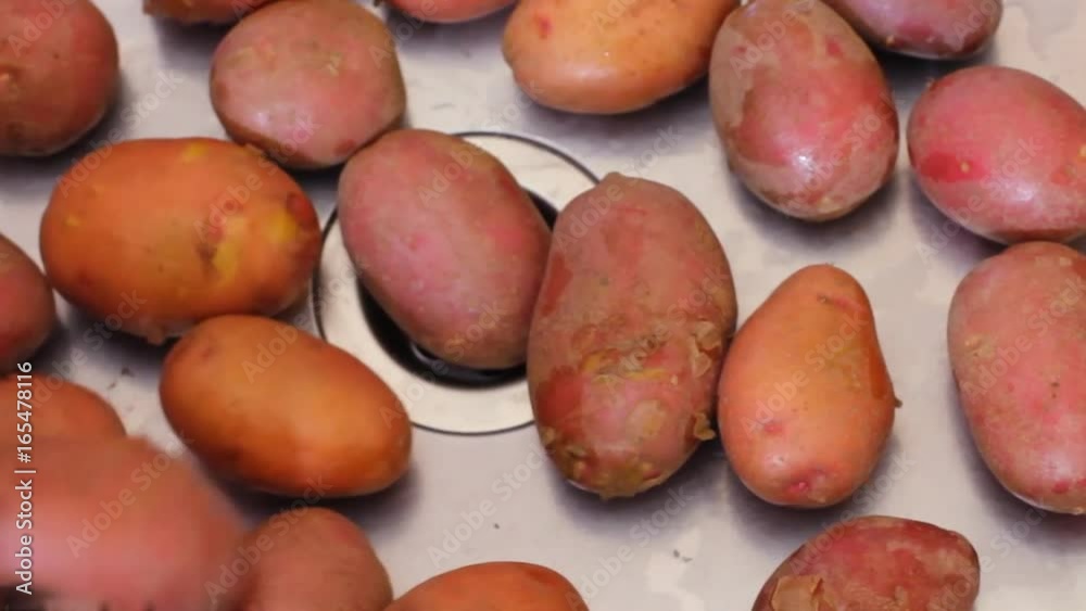 Fresh fruits of young potatoes are poured from the packages into the sink. Preparing food for cooking. Fresh fruits of young potatoes are poured from the packages into the sink. Preparing food for cooking.