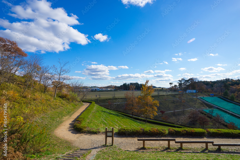 Beautiful autumn sky at Manyo Create Park