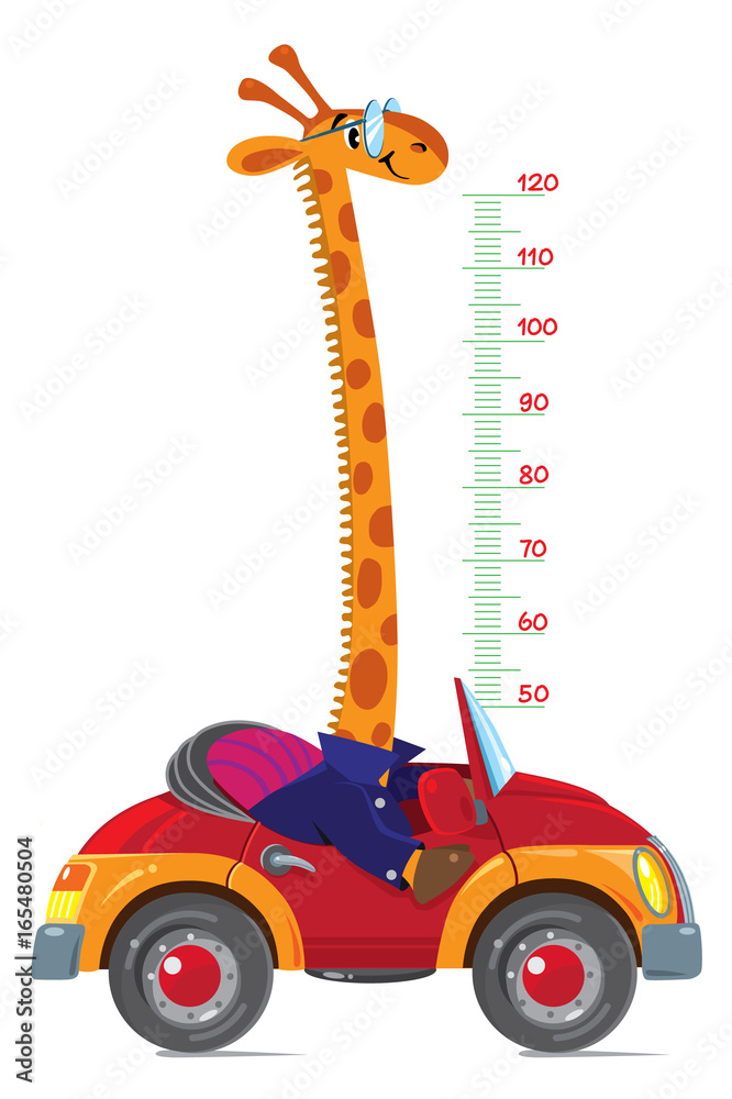 Naklejka premium Giraffe on car. Meter wall or height chart