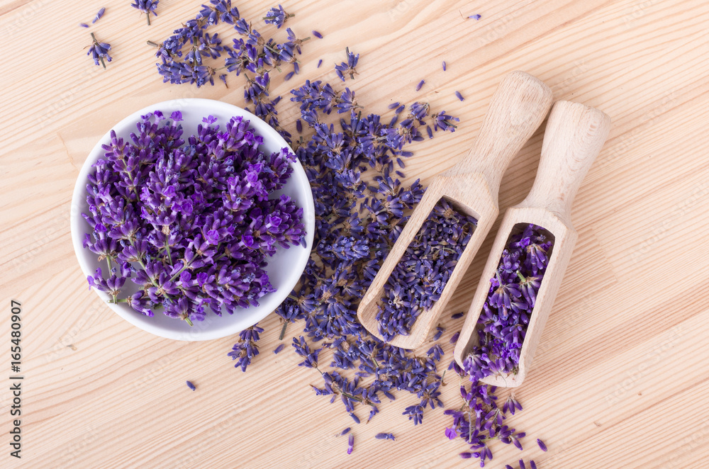 Obraz premium lavender flowers / Fresh and dried lavender flowers