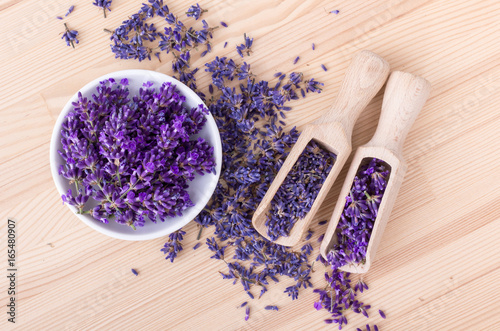 Fototapeta Naklejka Na Ścianę i Meble -  lavender flowers / Fresh and dried lavender flowers 
