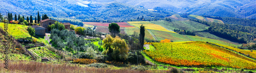 Beautiful Italy - autumn vineyards of Chianti - vine region of Tuscany. photo