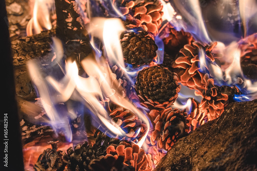 Unusual campfire of pine cones at night in the forest. wilfire take care of the forest photo