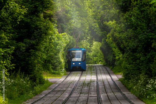The tram goes through dense thickets of trees. The path through the tunnel. Summer landscape in the Park with the tram. Russia. Moscow. Sokolniki Park.