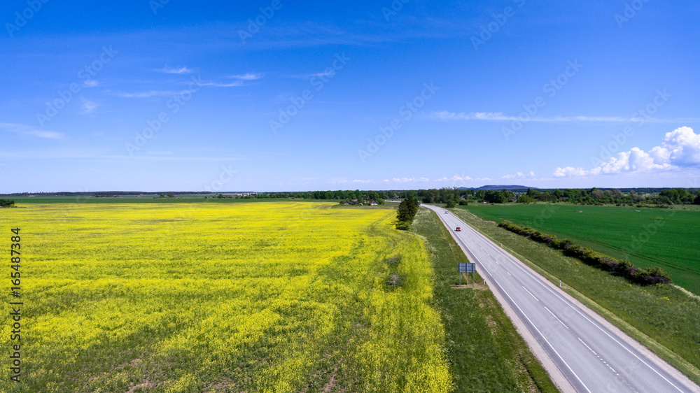 Yellow raps fields and the European E20 route passing grassland. Expressway from Narva to Tallinn in Estonia, Europe Yellow raps fields and the European E20 route passing grassland. Expressway from Narva to Tallinn in Estonia, Europe