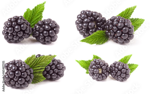 blackberry with leaves isolated on white background. Set or collection